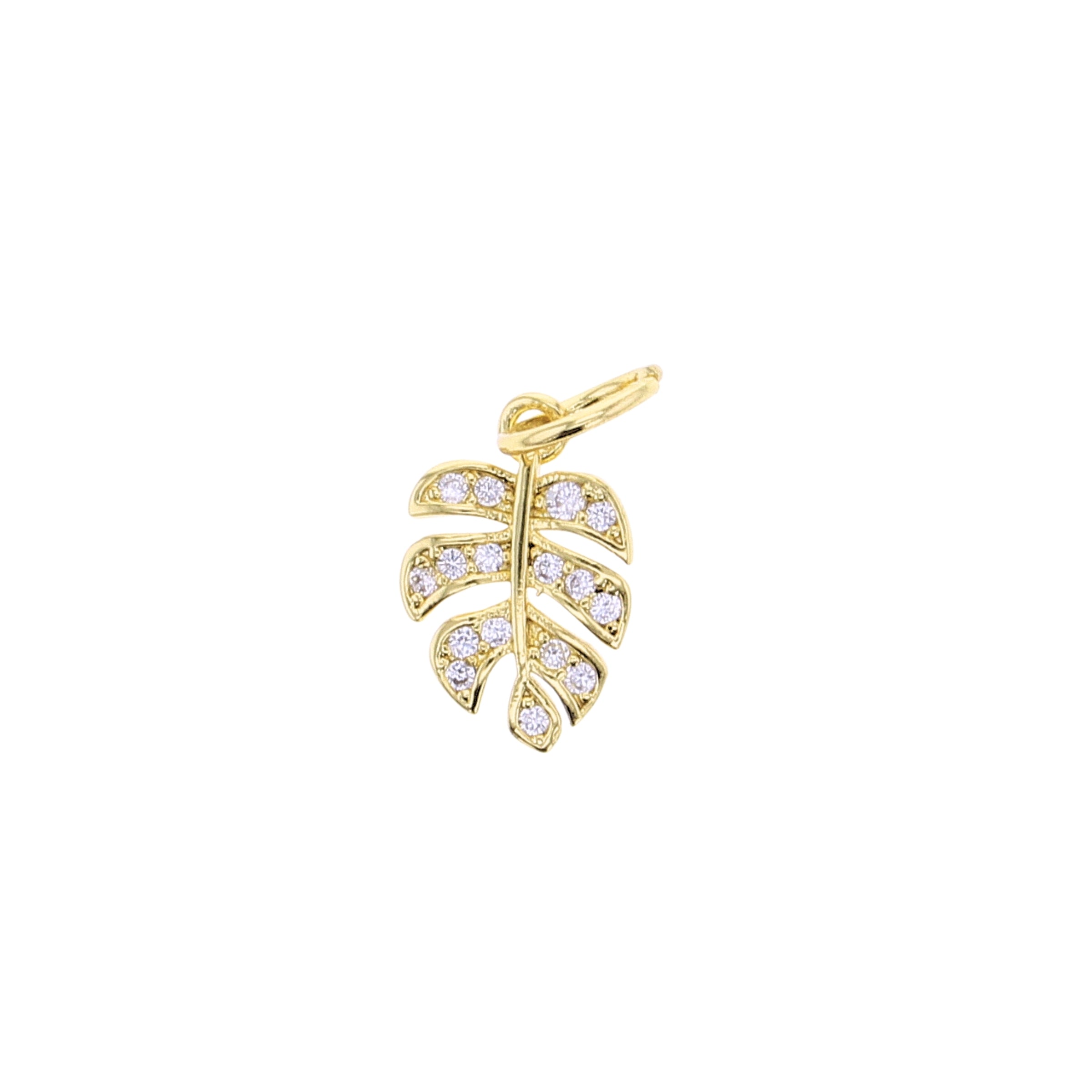 Monstera Leaf Charm